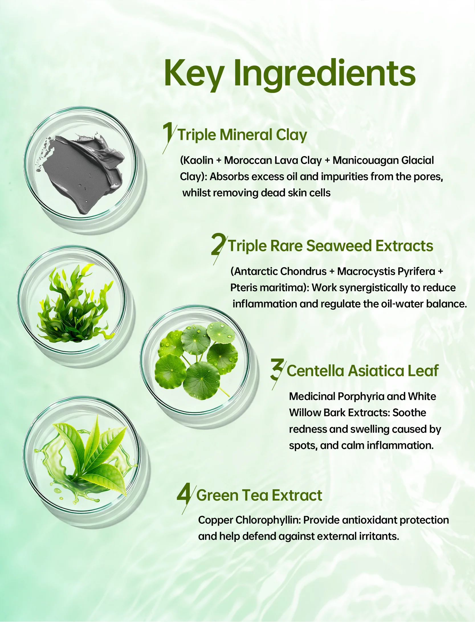 Visual list of key skincare ingredients including triple mineral clay, rare seaweed extracts, centella asiatica leaf, and green tea extract with their benefits.